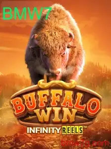 BuffaloWin: Uma Jornada de Diversão e Estratégia